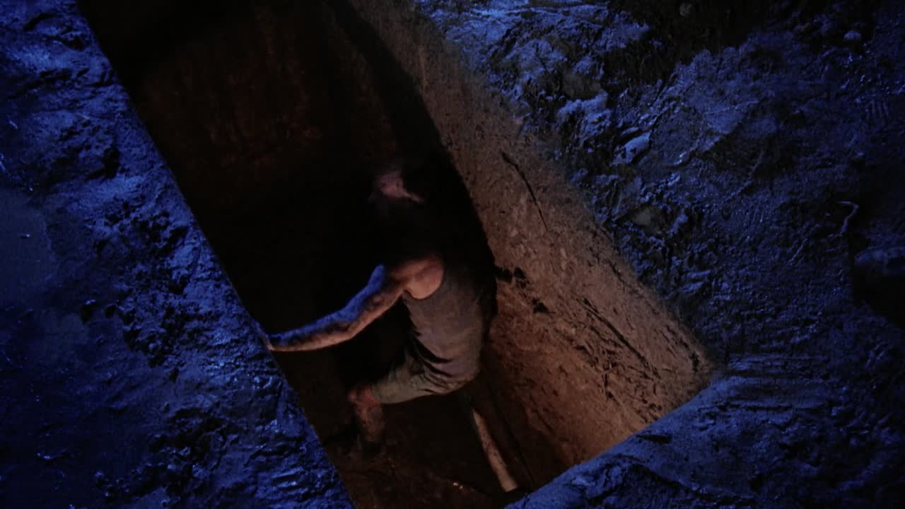 Death In Brunswick 1990 BLURAY 1080p BluRay x264 AAC5 1-