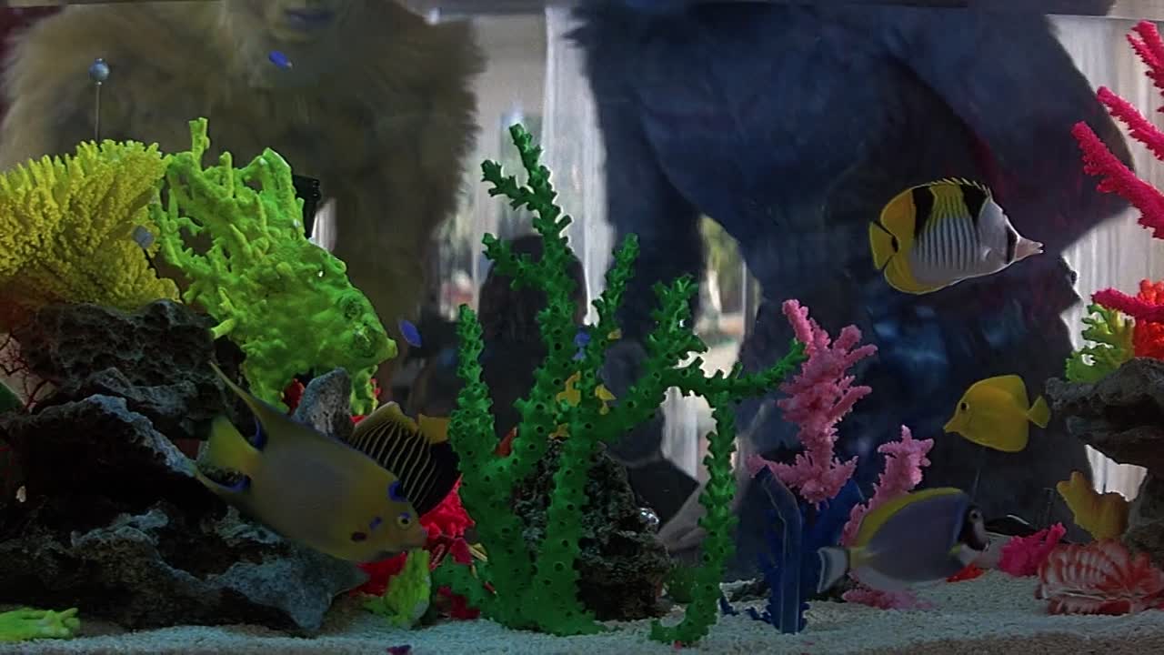 ⁣Earth Girls Are Easy 1988 1080p BluRay x264 AAC-