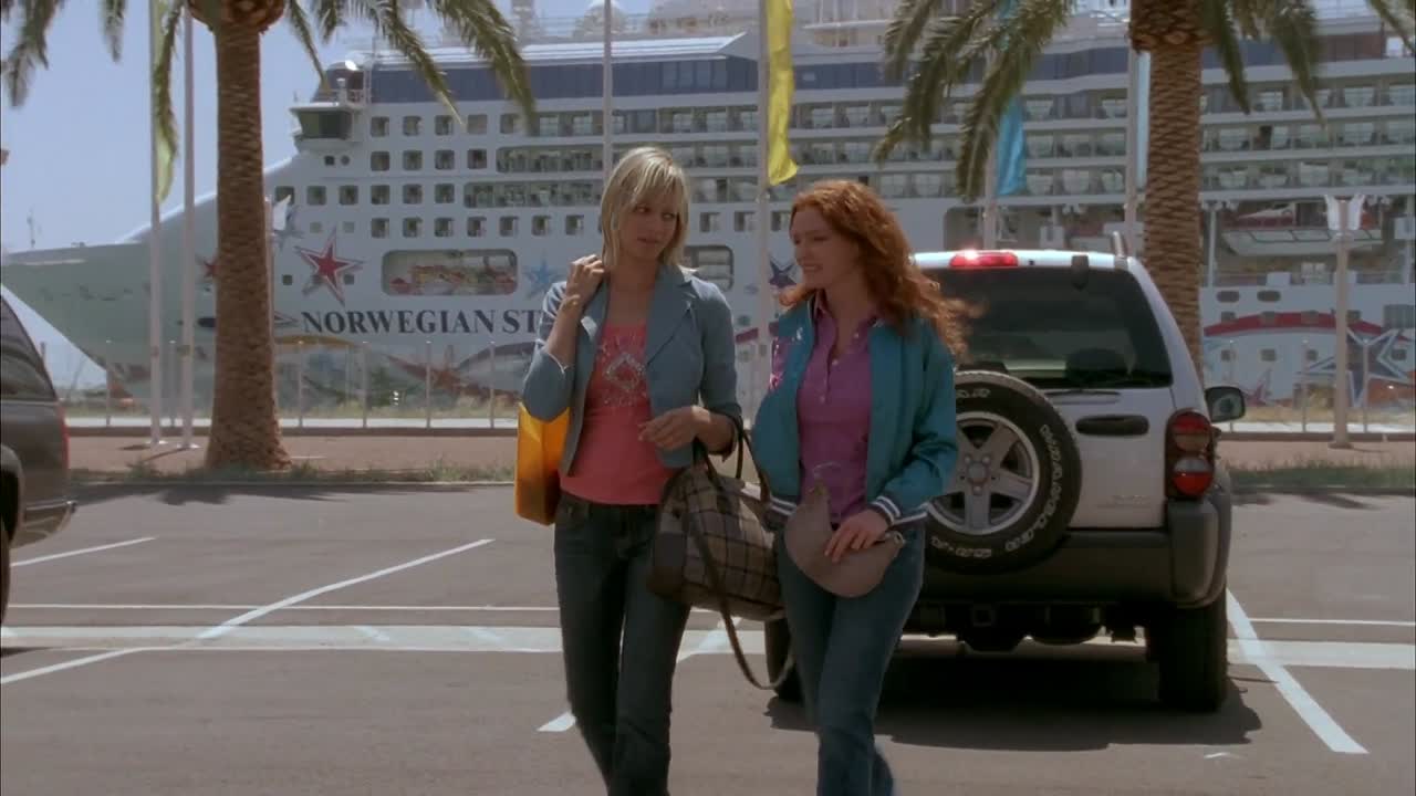 ⁣Falling in Love with the Girl Next Door 2006 WEBRip x264 AAC