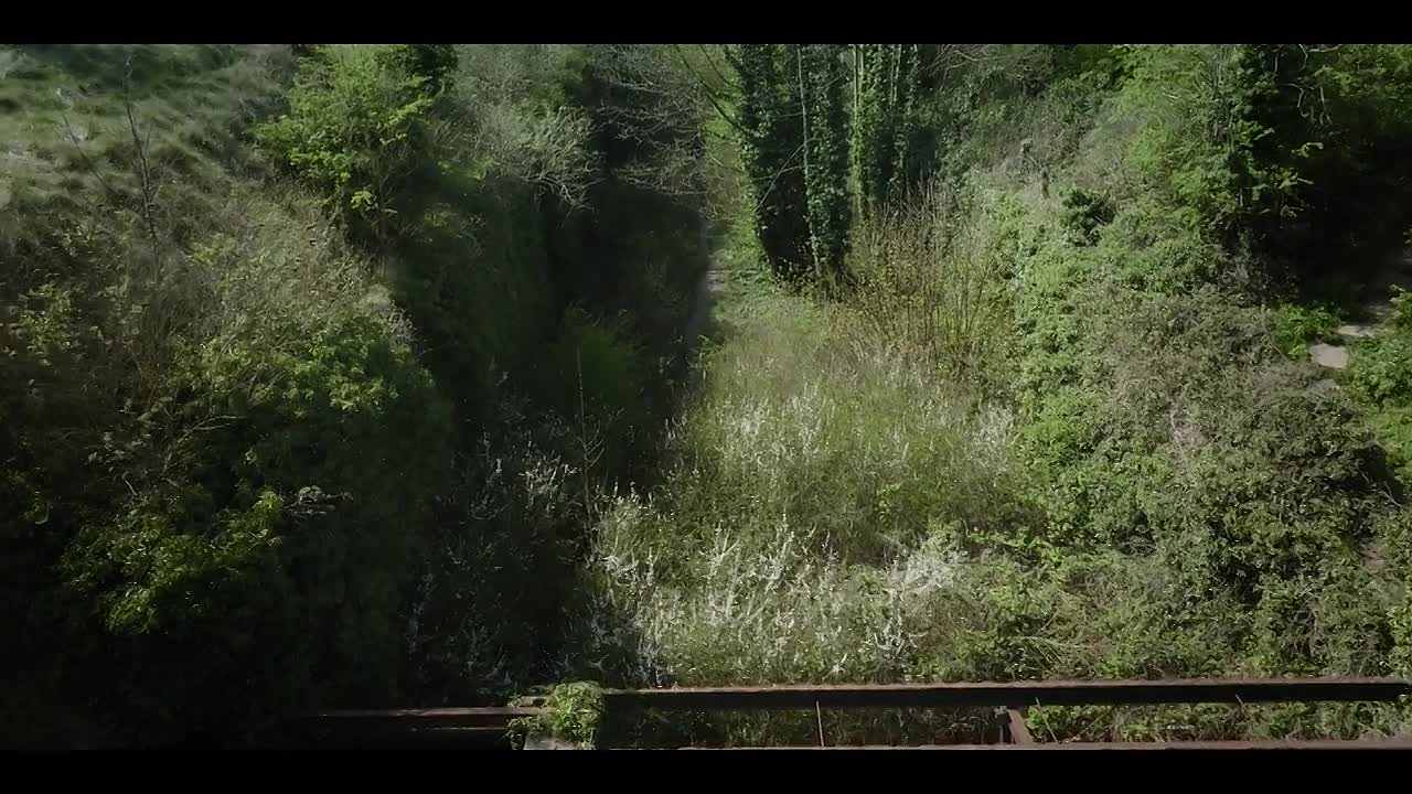 Whitstable Pearl S02E01