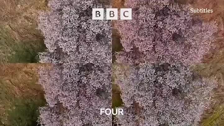 Young Guns Go For It S01E03 -Bananarama