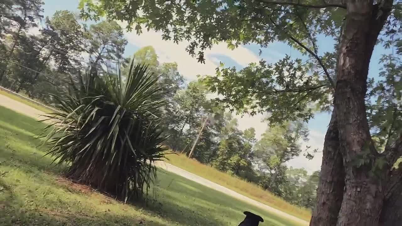 ⁣Storyville S2025E08 White Man Walking