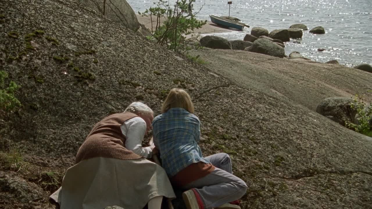 ⁣The Summer Book 2024 1080p BluRay x264 AAC5 1-