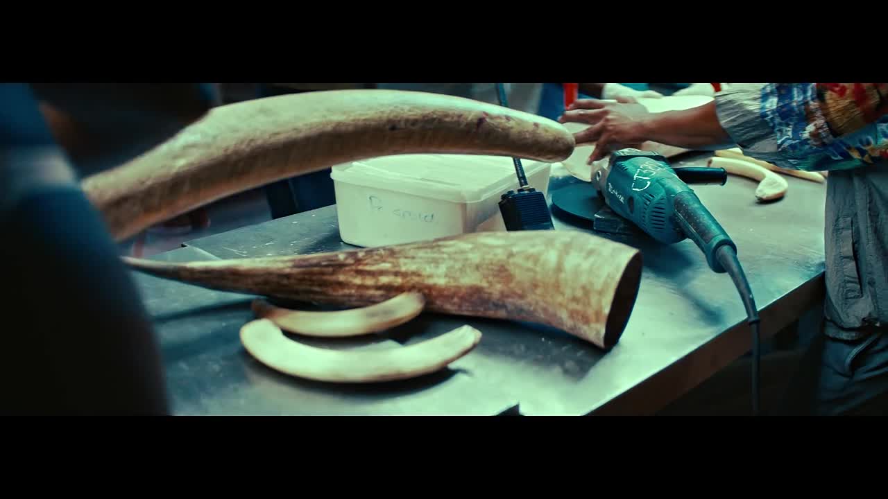 Antimarteria 2017 GERMAN HC ENG SUBS 1080p WEBRip H264 AAC