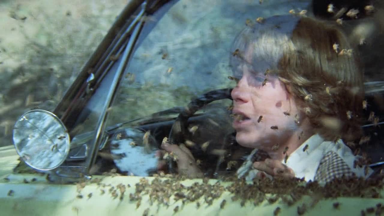 The Swarm 1978 1080p BluRay x264-[YTS AM]