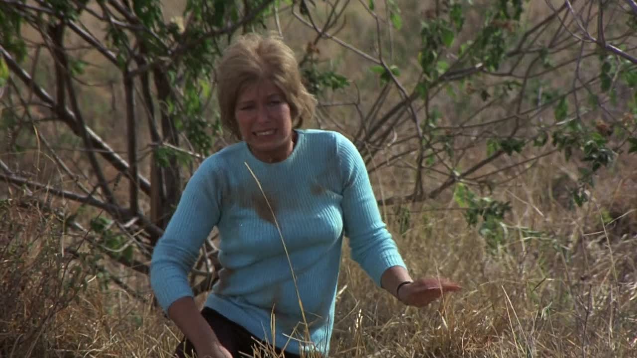 ⁣The Wilby Conspiracy 1975 1080p BluRay x264-[YTS AM]