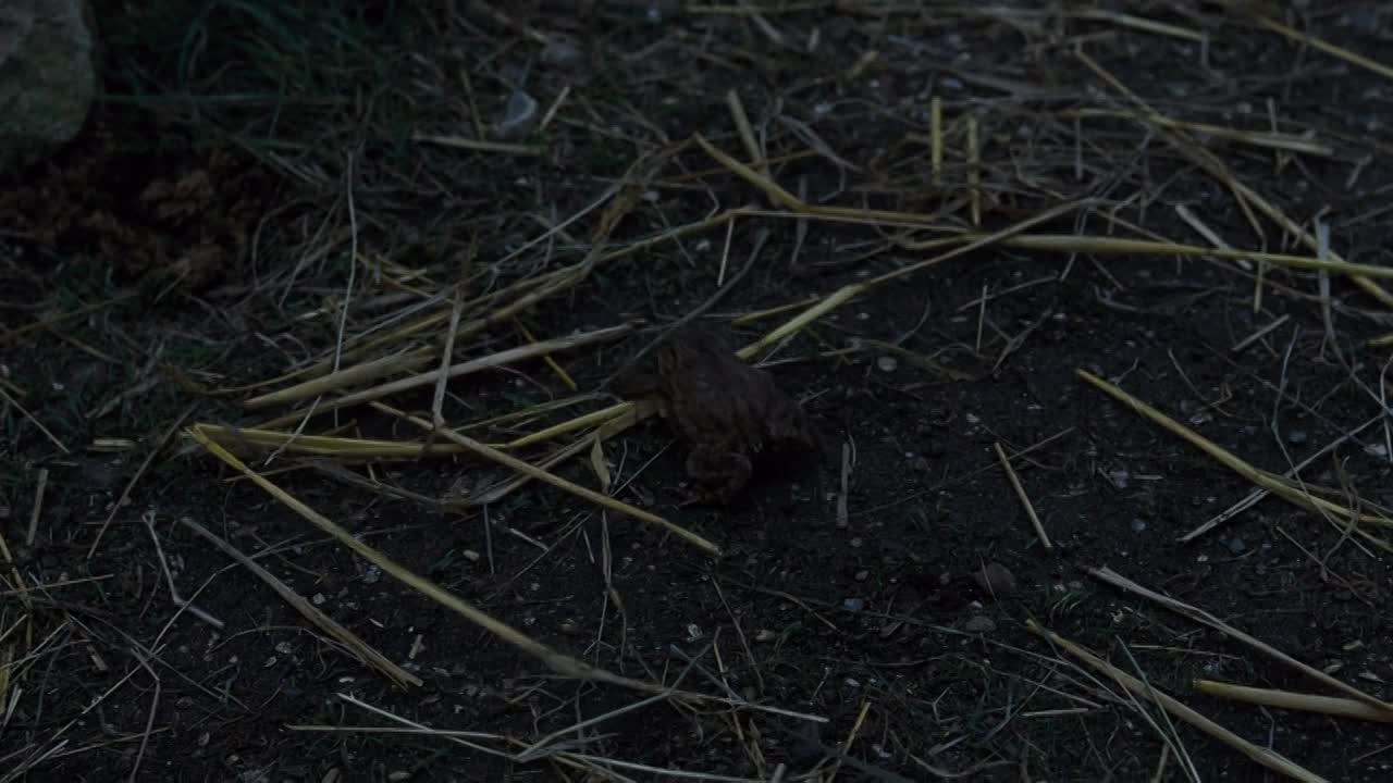 ⁣Far from the Madding Crowd 2015 1080p BluRay x264 YIFY