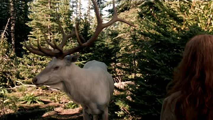 Blueprint 2003 GERMAN 368p DVDRip XViD iNTERNAL AC3-VhV