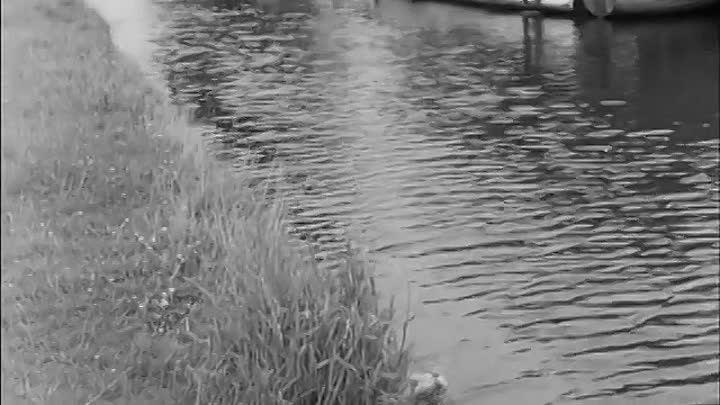 Whicker's World S02E05 -Water, Water