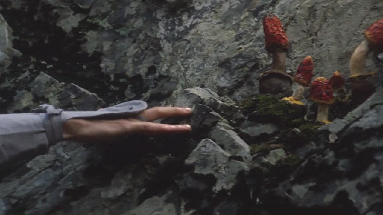 ⁣The Invisible Swordsman 1970 JAPANESE HC ENG SUBS 1080p BluRay x264 AAC-