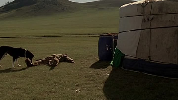 ⁣Le Concile de Pierre FRENCH DVDRiP XviD Wawacity ec