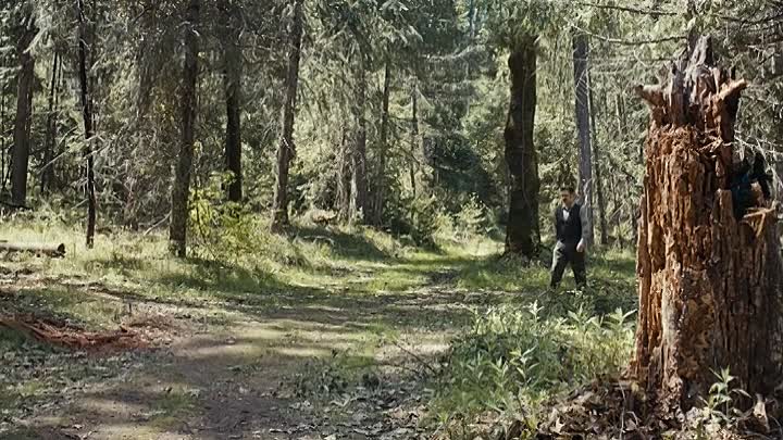 The Crumbs 2020 HDRip XviD AC3-EVO