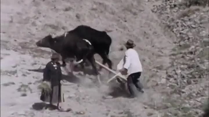 Whicker's World S02E08 -A Right Royal Fiesta