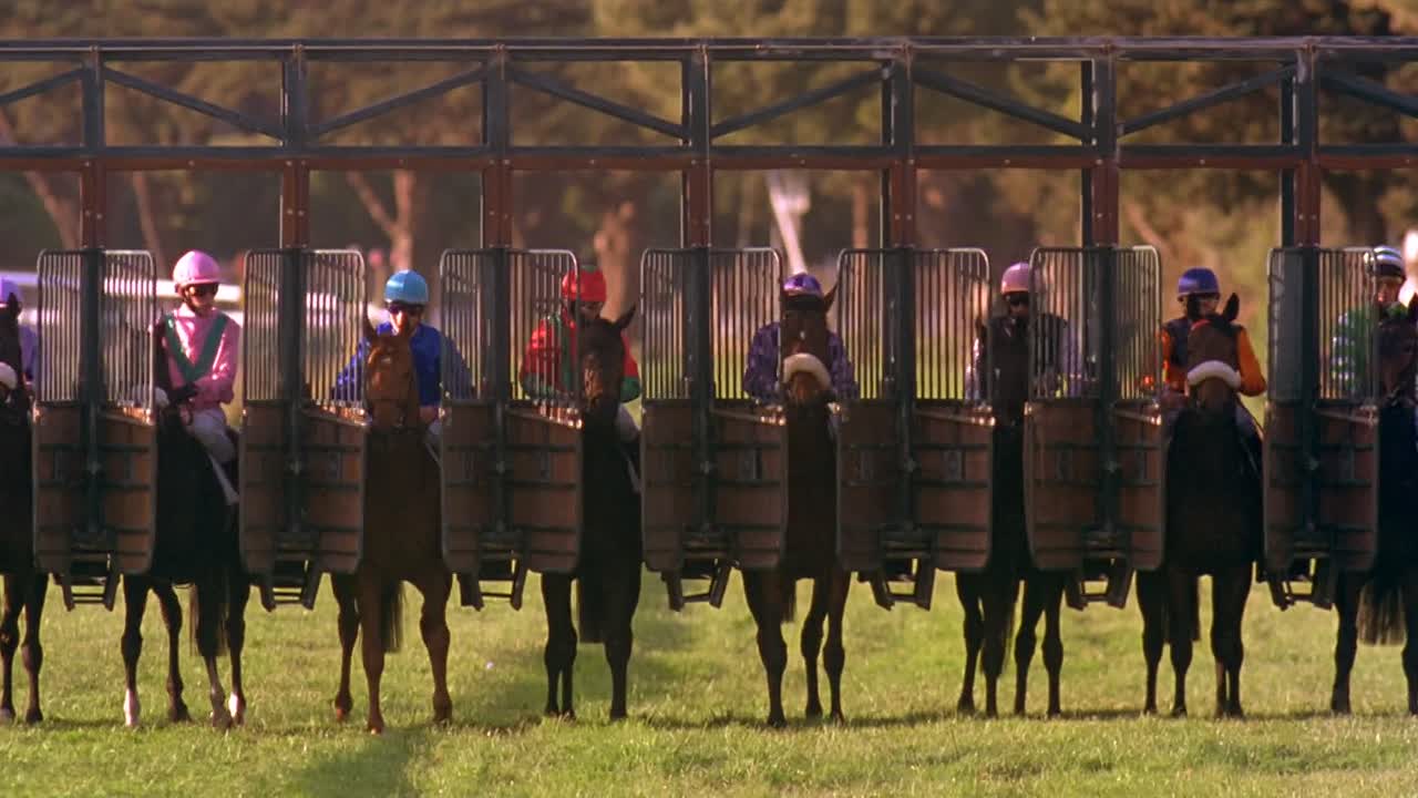 The Good Thief 2002 1080p WEBRip x264 AAC-