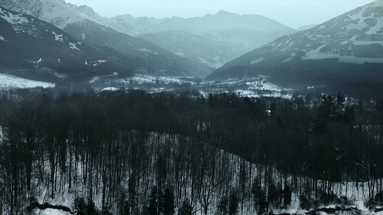 Polar 2019 1080p WEBRip x264-[YTS AM]