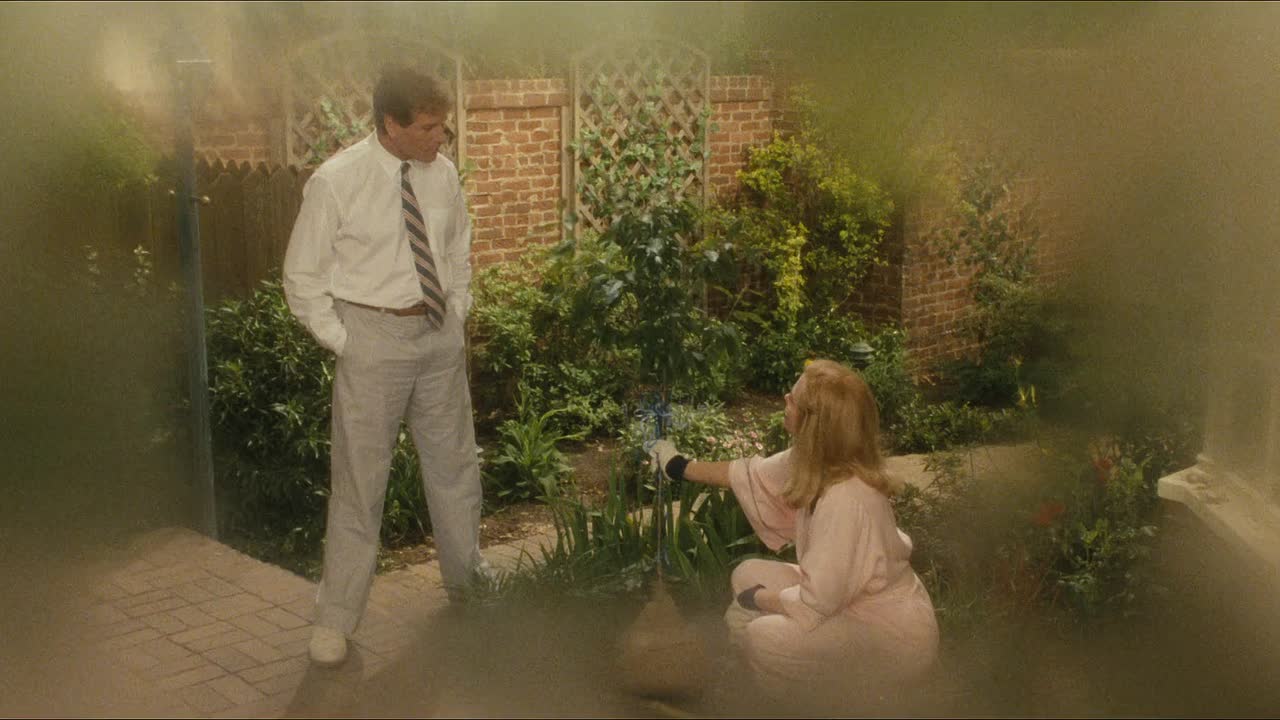 Chances Are 1989 1080p BluRay x264 YIFY