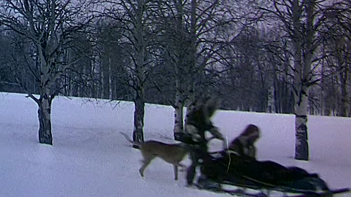 Back to Gods Country 1953 480p WEBRip x264 AAC