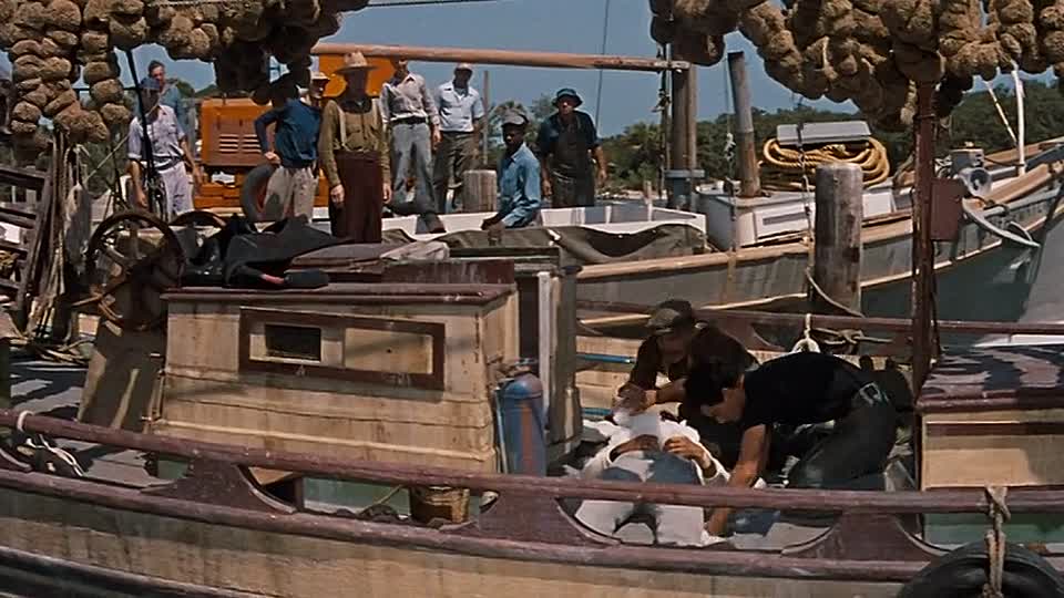 ⁣Beneath The 12-Mile Reef 1953 720p BluRay x264 AAC-