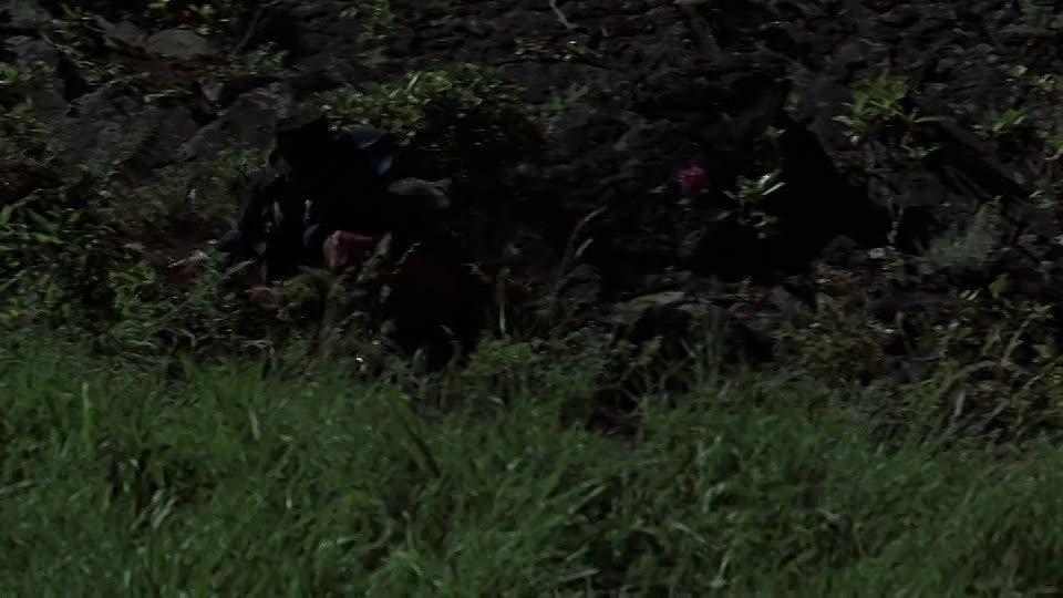 Captain Lightfoot 1955 720p BluRay x264 YIFY