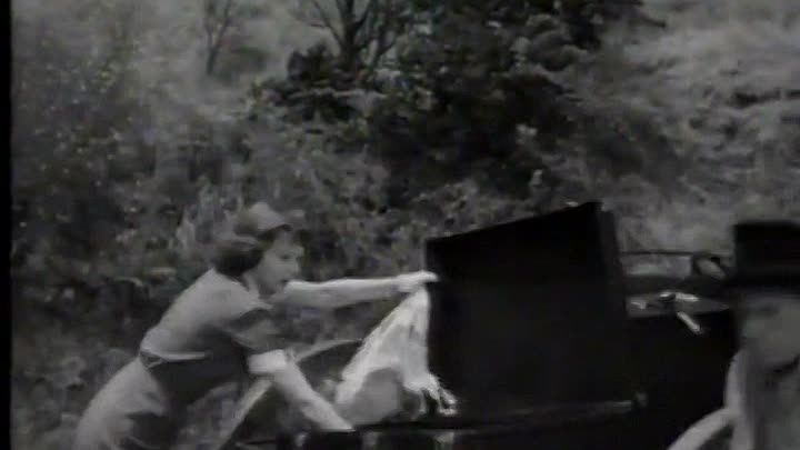 Here Come The Nelsons 1952 480p WEBRip x264 AAC