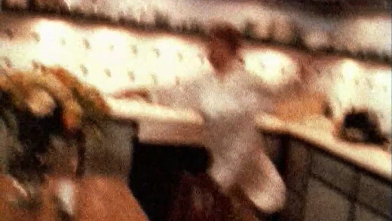 Bin ich schoen 1998 German DVDRiP x264 AC3