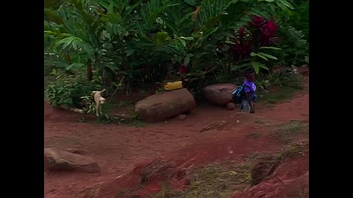 POV S38E03 -Made in Ethiopia