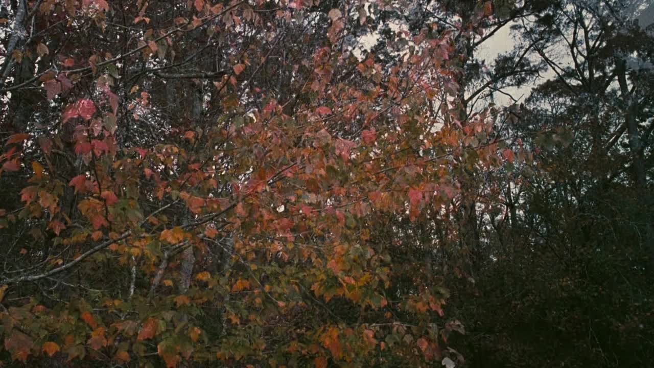 Eves Bayou 1997 1080p BluRay x264 AAC5 1-