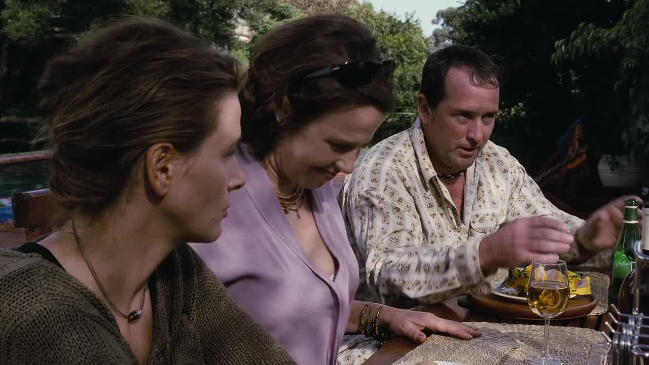 In My Country 2004 1080p BluRay x264 AAC5 1-