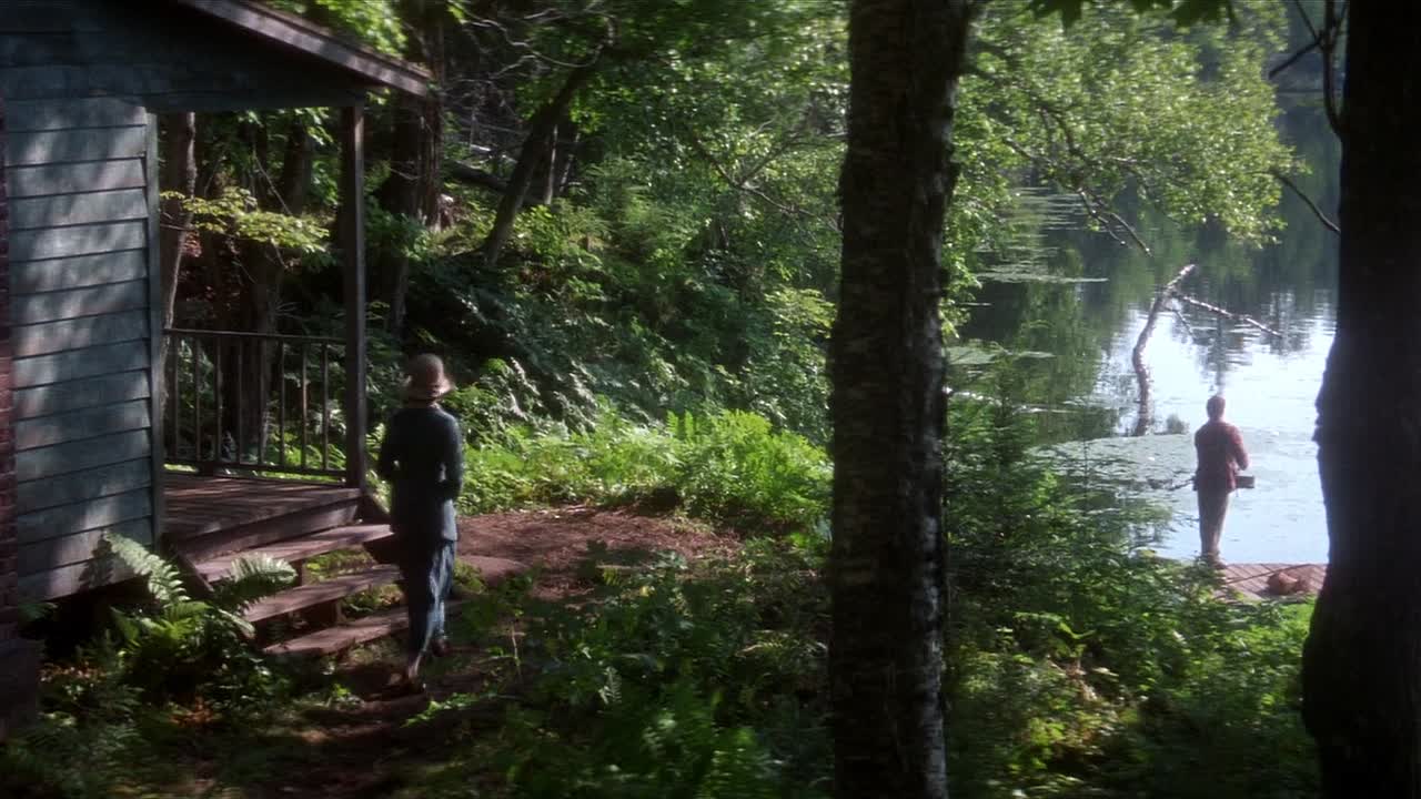 In Love And War 1996 1080p BluRay x264 AAC5 1-