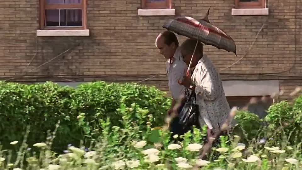 ⁣A Family Thing 1996 WEBRip x264