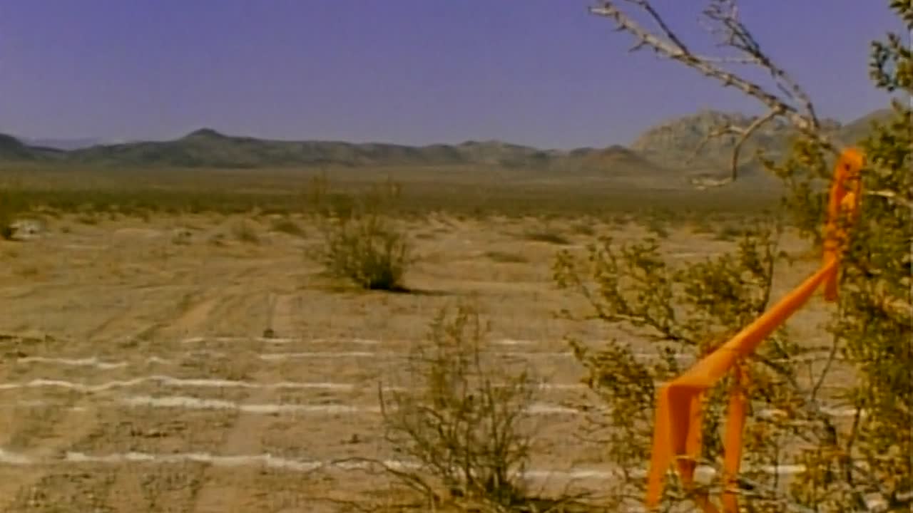 ⁣On Any Sunday 1971 1080p WEBRip x264 AAC-