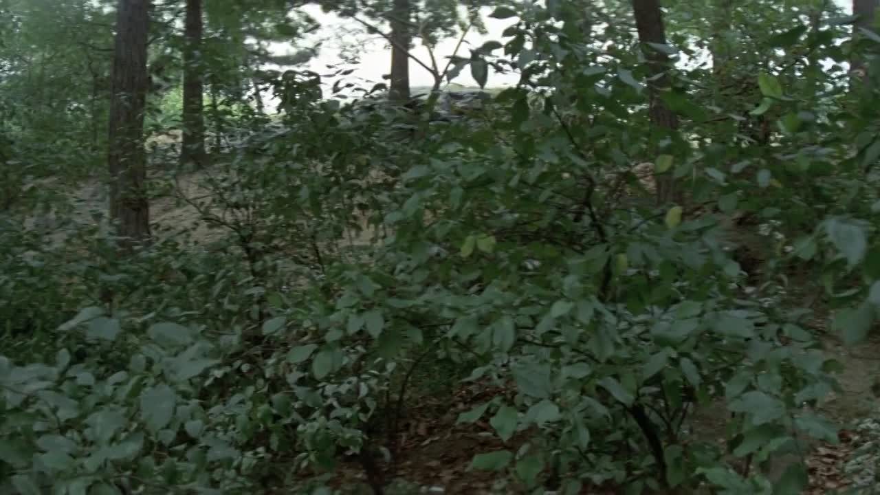 The Prisoner of Second Avenue 1975 HDRip x264