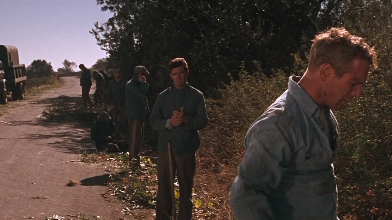 ⁣Cool Hand Luke 1967 1080p BluRay x264-[YTS AM]