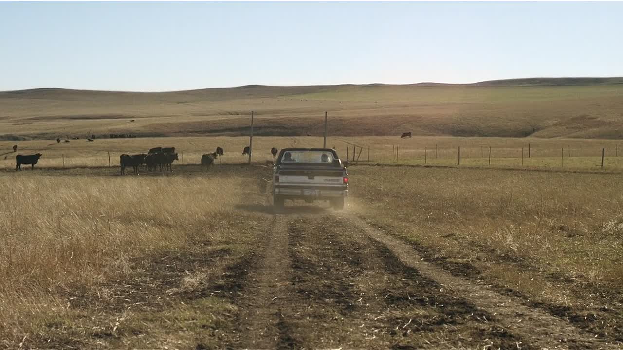 Tater Tot and Patton 2017 1080p WEBRip x264 AAC5 1-