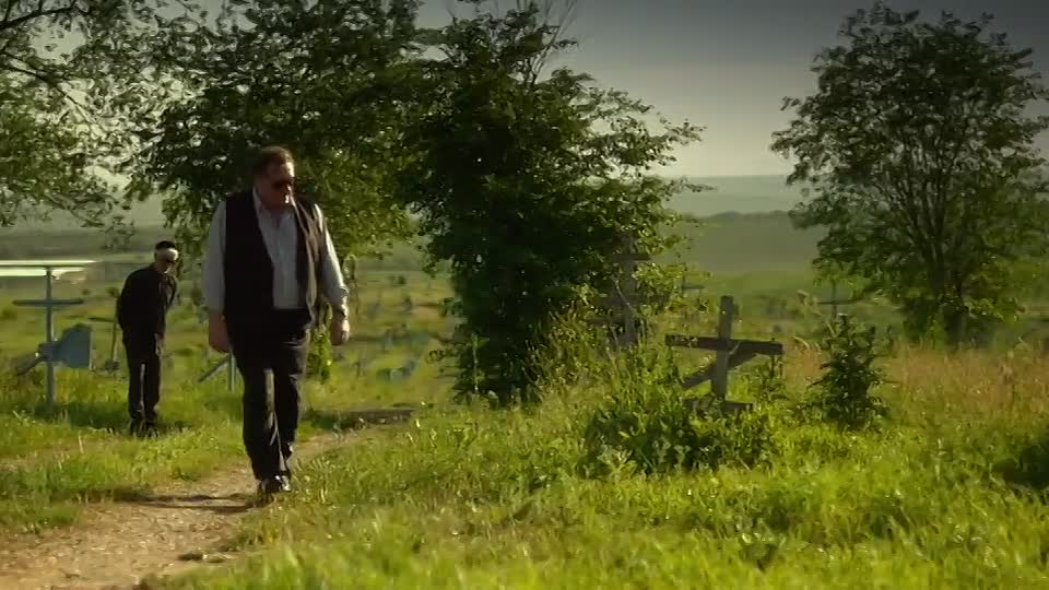 Viktor 2014 WEBRip x264