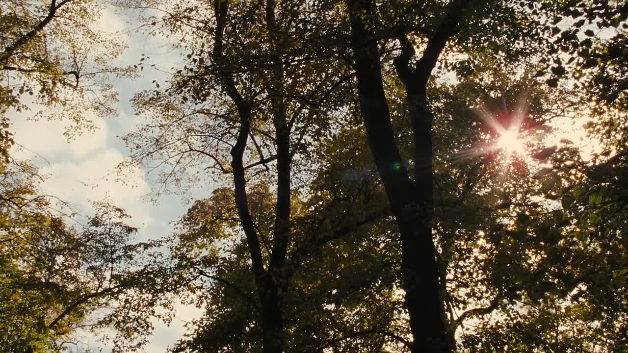 ⁣Song for Marion 2012 HDRip x264