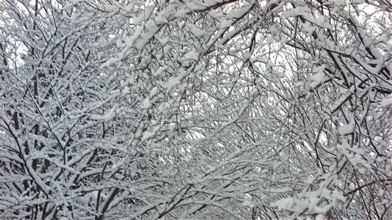 ⁣Dead Heat On A Merry-Go-Round 1966 1080p BluRay x264 AAC-