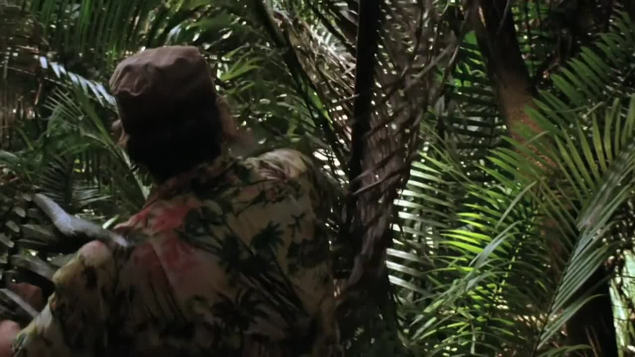 The Mosquito Coast 1986 1080p BluRay x264 YIFY