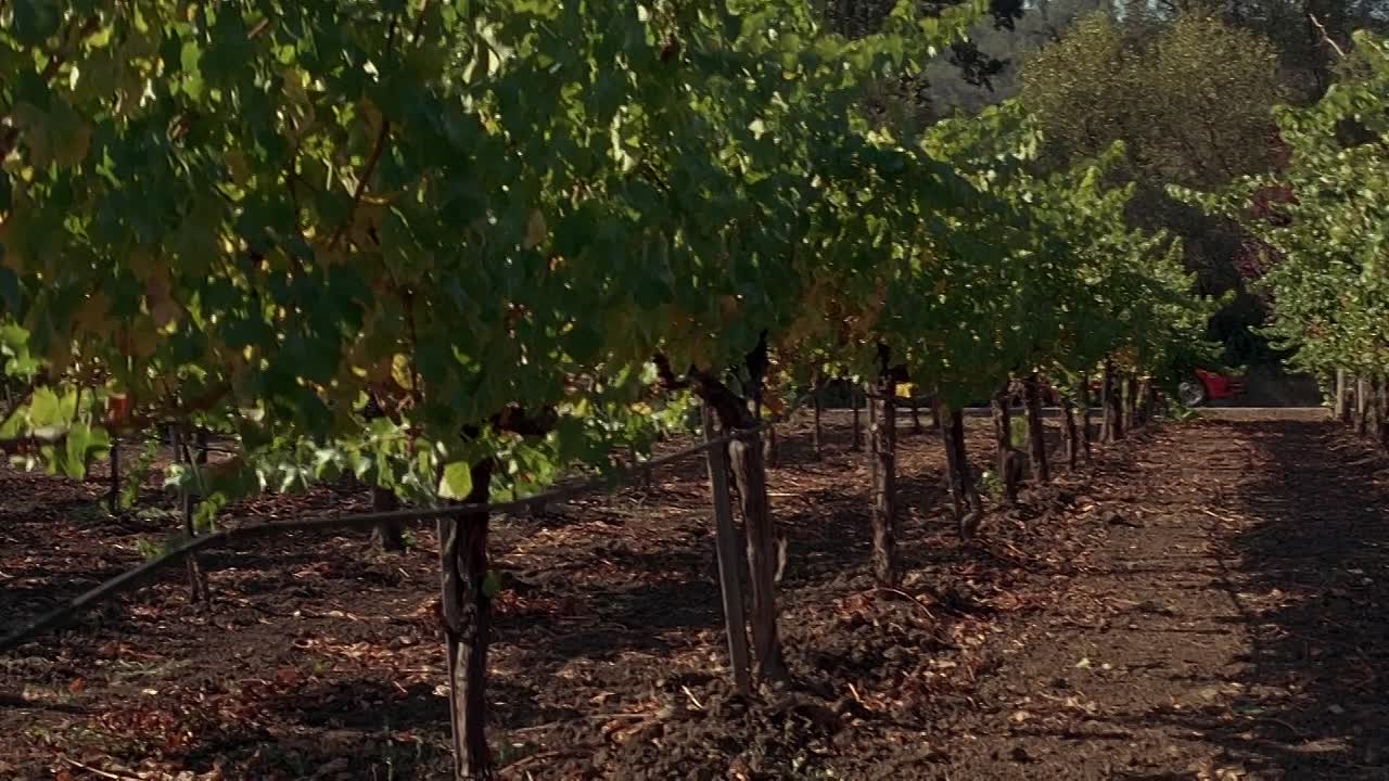 Nine Months 1995 1080p BluRay x264-[YTS AM]