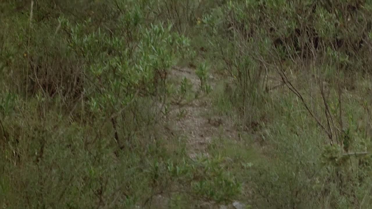 ⁣Goin South 1978 1080p WEBRip x264 AAC-