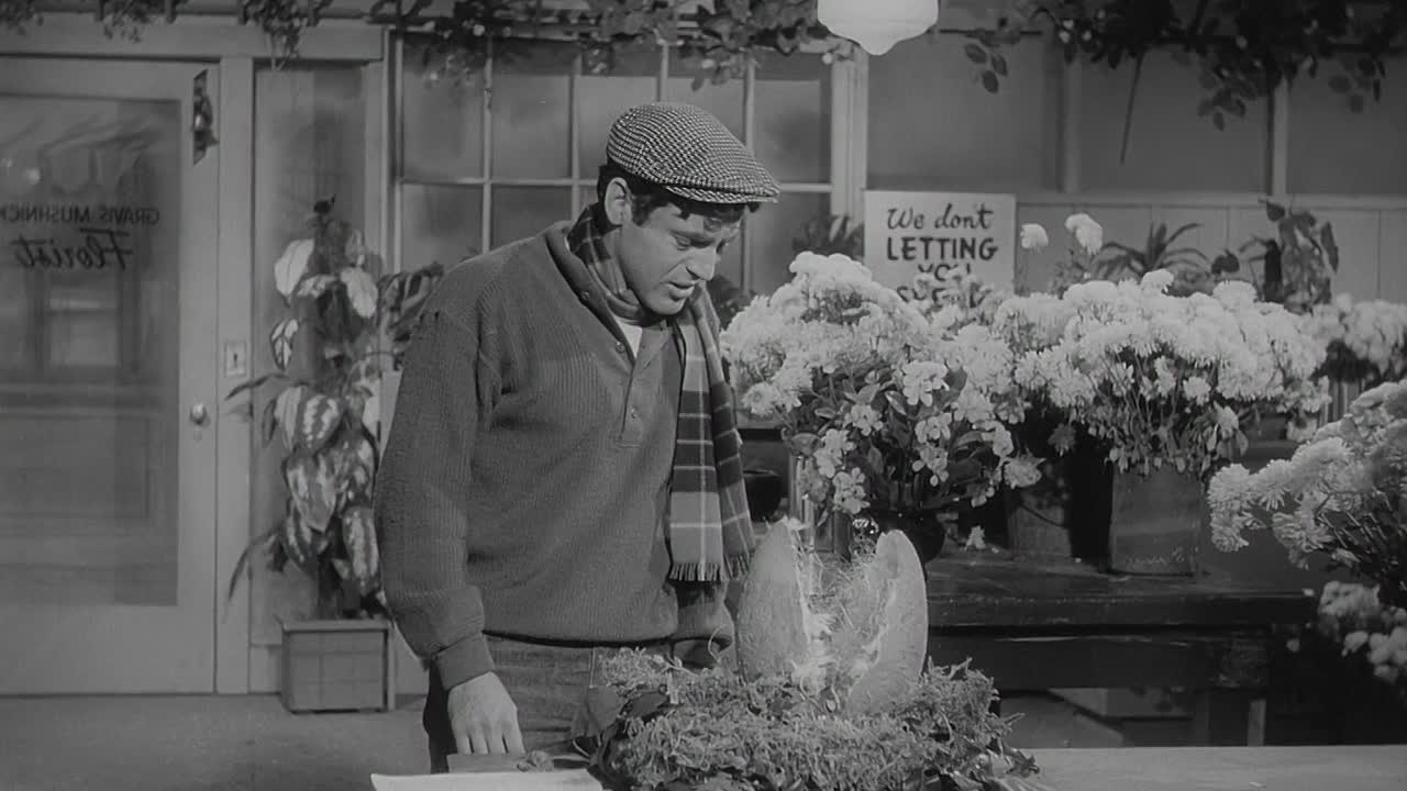 ⁣The Little Shop Of Horrors 1960 1080p BluRay x264-[YTS LT]