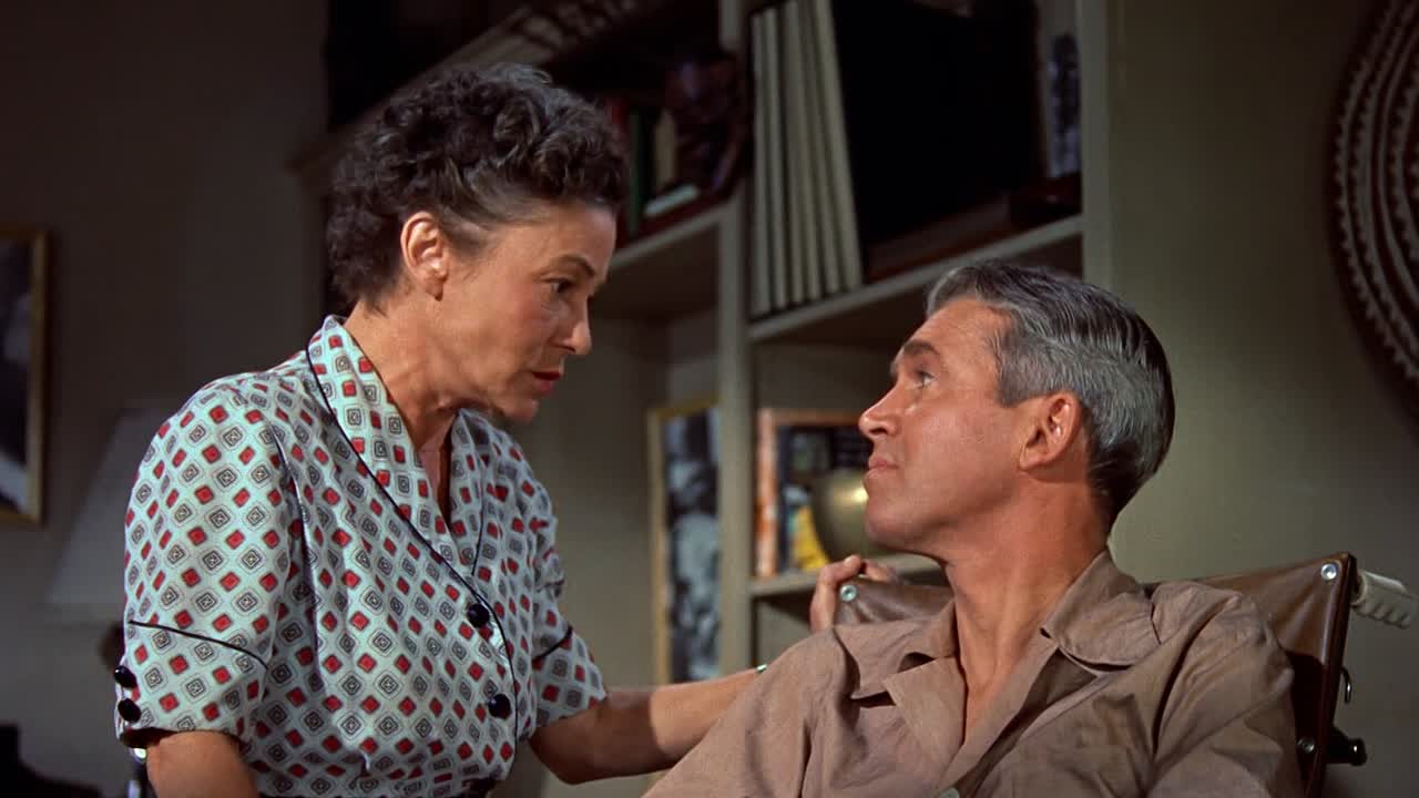 ⁣Rear Window 1954 1080p BluRay x264-[YTS AM]