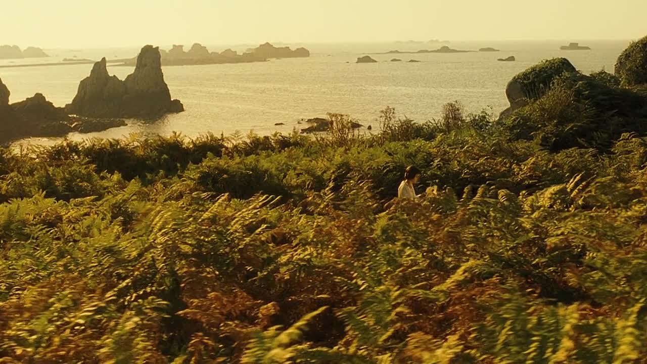 A Very Long Engagement 2004 1080p BluRay x264 AAC5 1-