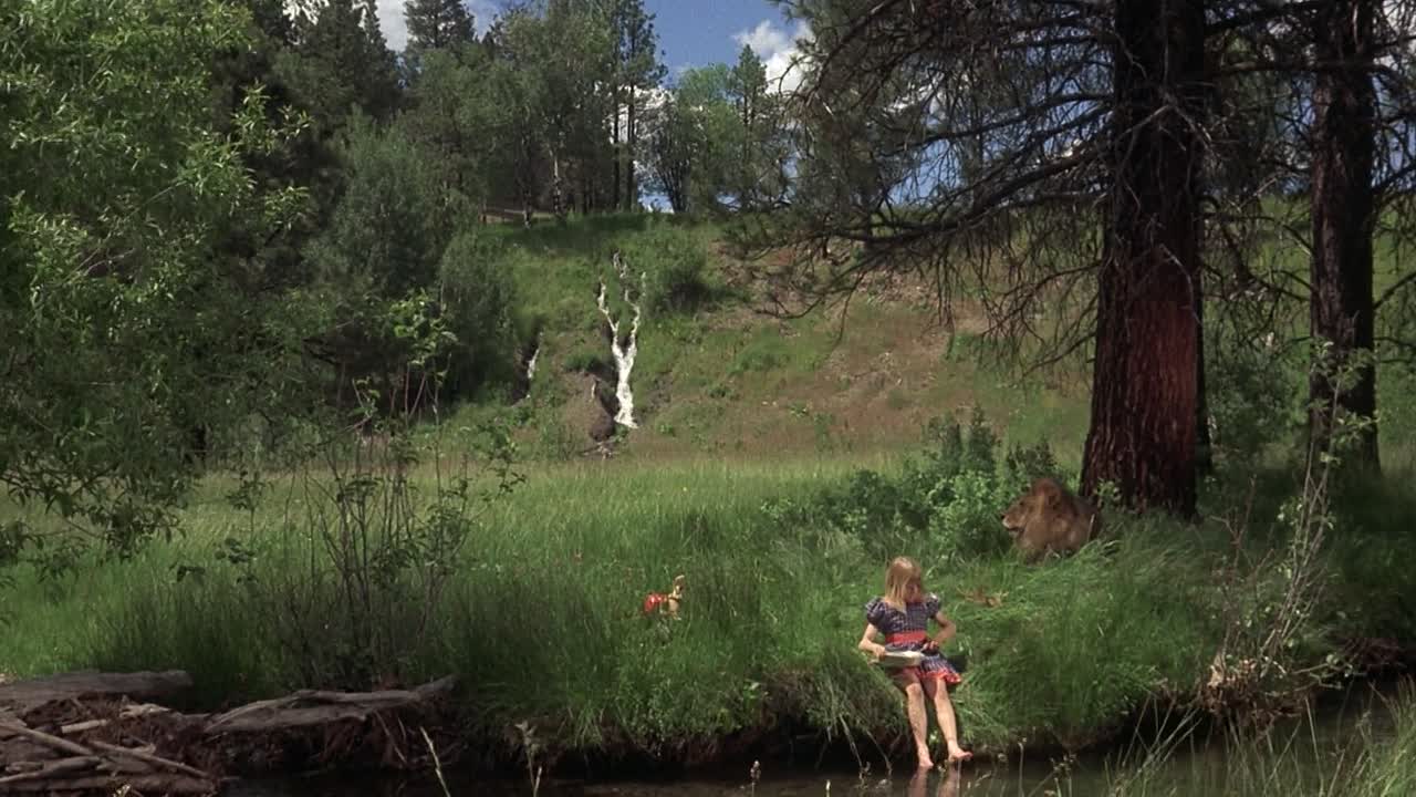 ⁣Napoleon And Samantha 1972 1080p WEBRip x264 AAC-