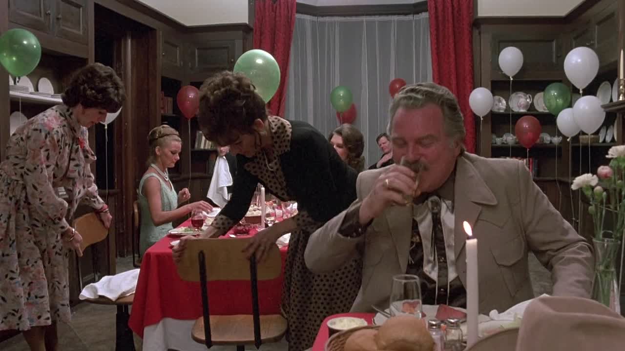 The Hotel New Hampshire 1984 1080p BluRay x264 AAC-