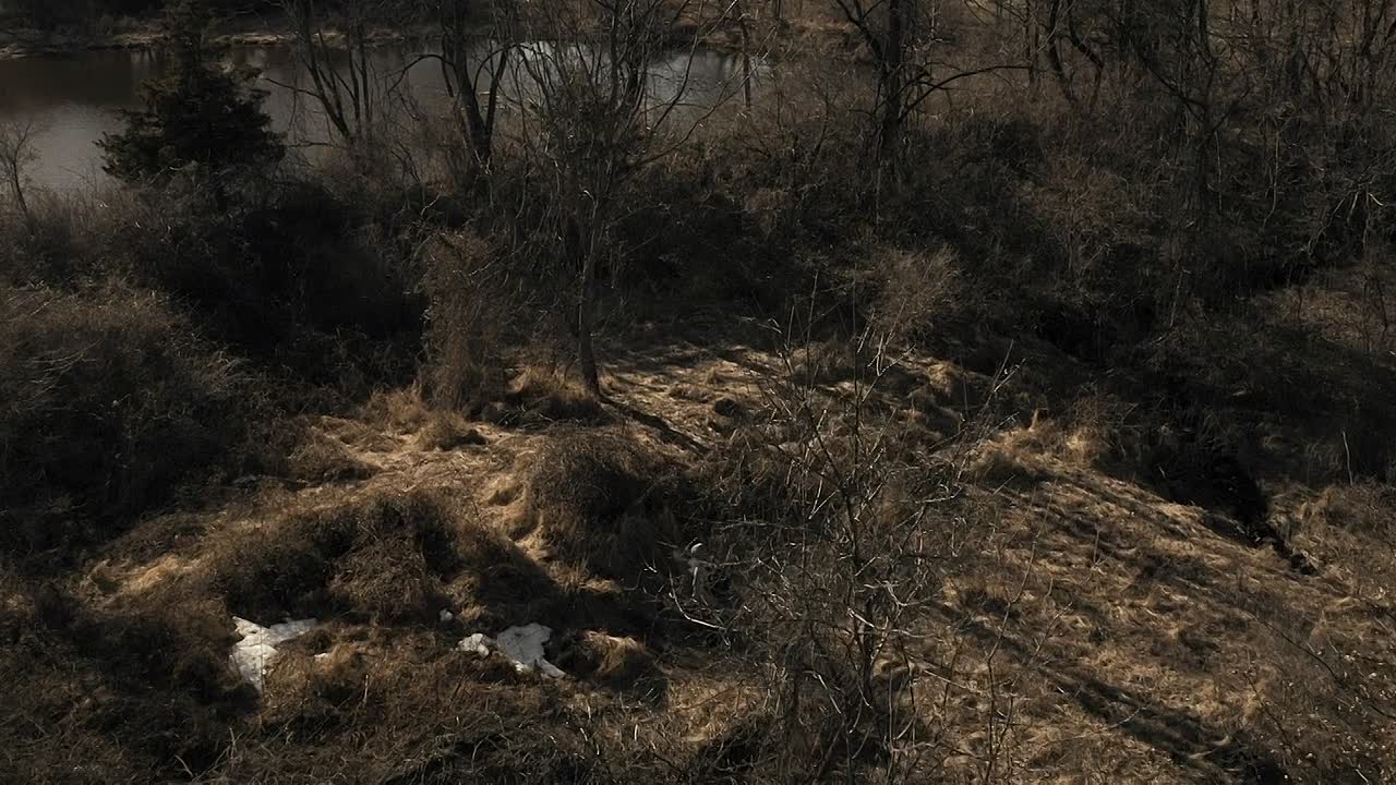 The Survivalist 2021 1080p BluRay x264 AAC5 1-