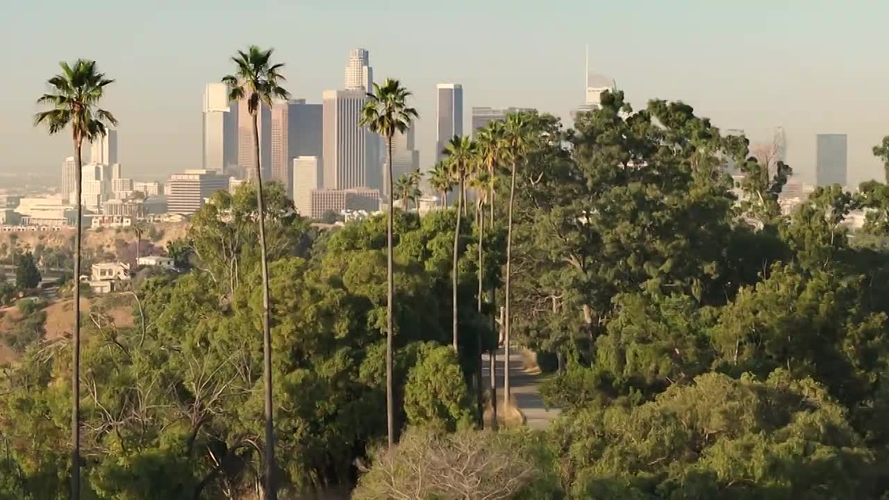 OJ Simpson -The Man Who Divided America