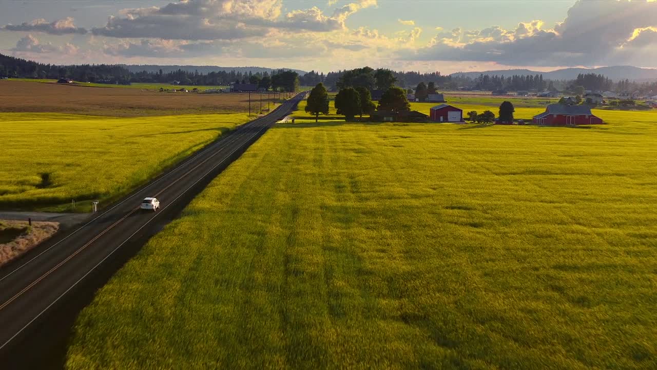 Daruma 2023 1080p WEBRip x264 AAC5 1-