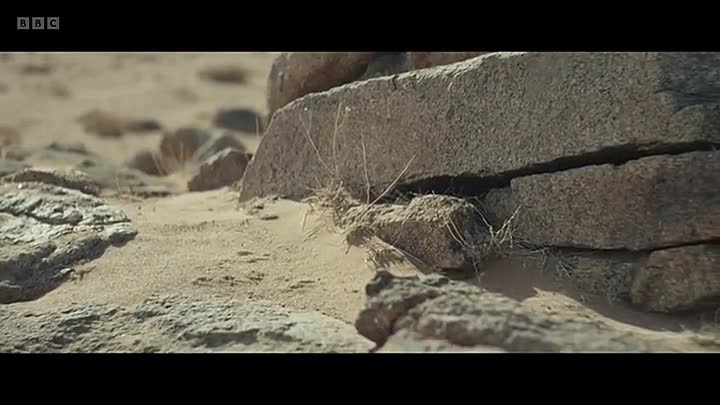 ⁣Storyville S2025E12 -The Wolves Always Come at Night