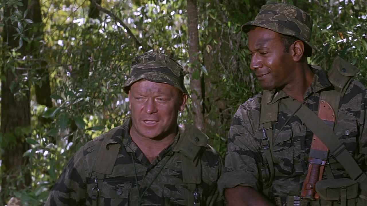 ⁣The Green Berets 1968 1080p BluRay x264 AAC-